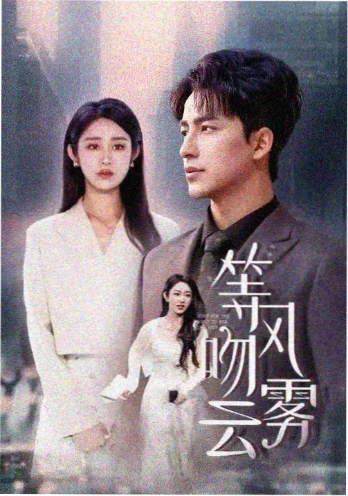 六号档案室 免费在线电视剧
